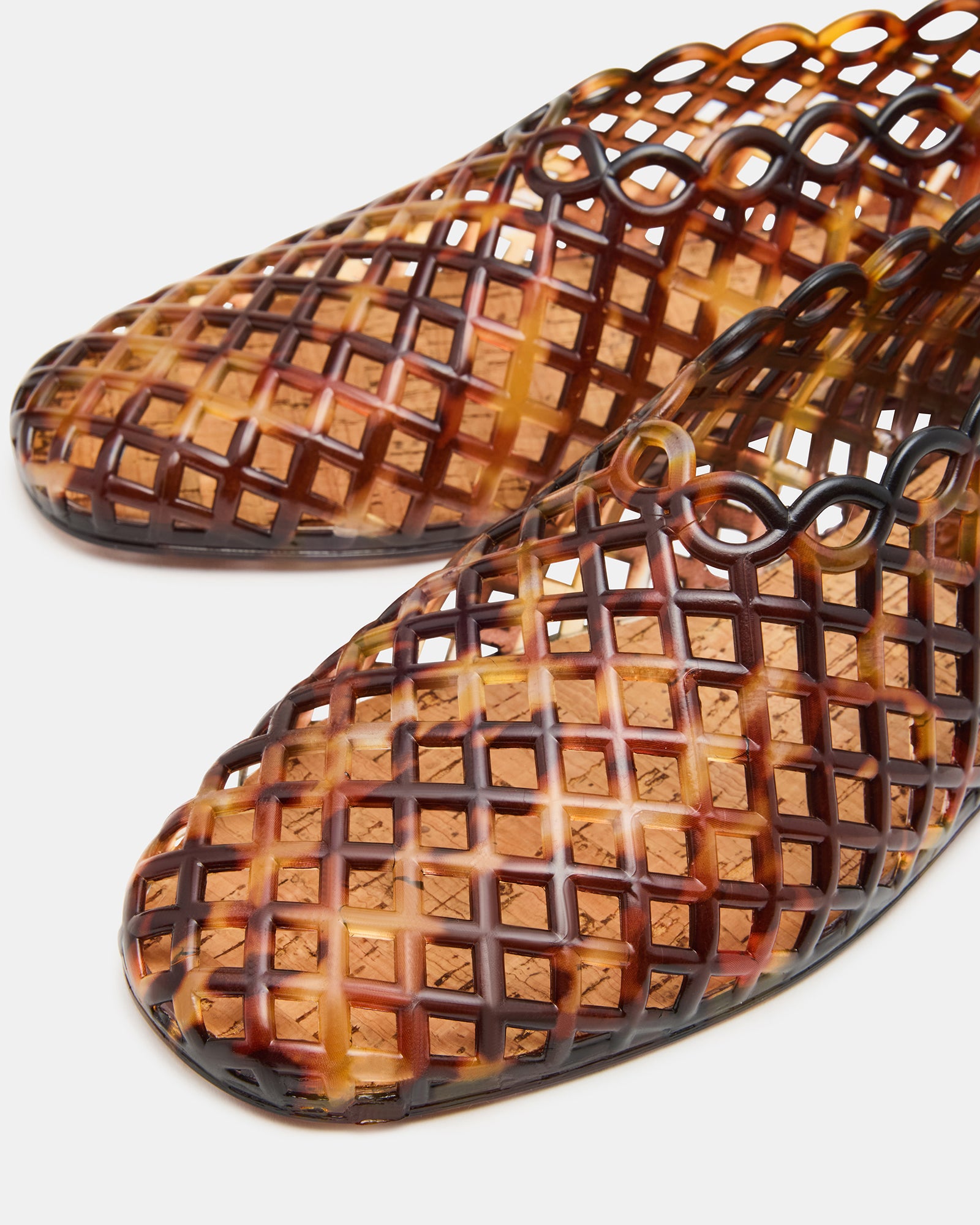 GROVE TORTOISE - Image 3