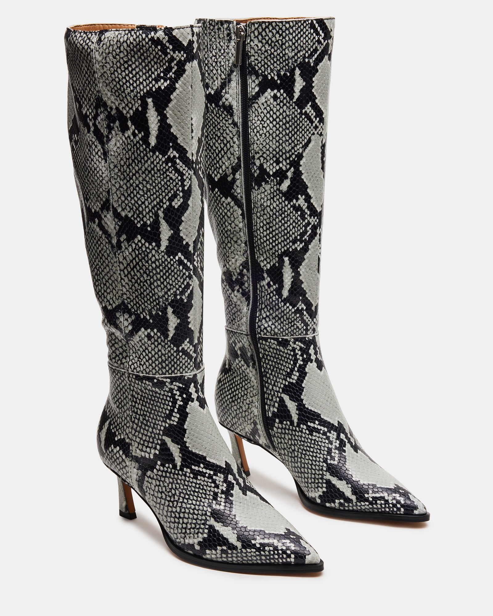 LUCID SNAKE - Image 2