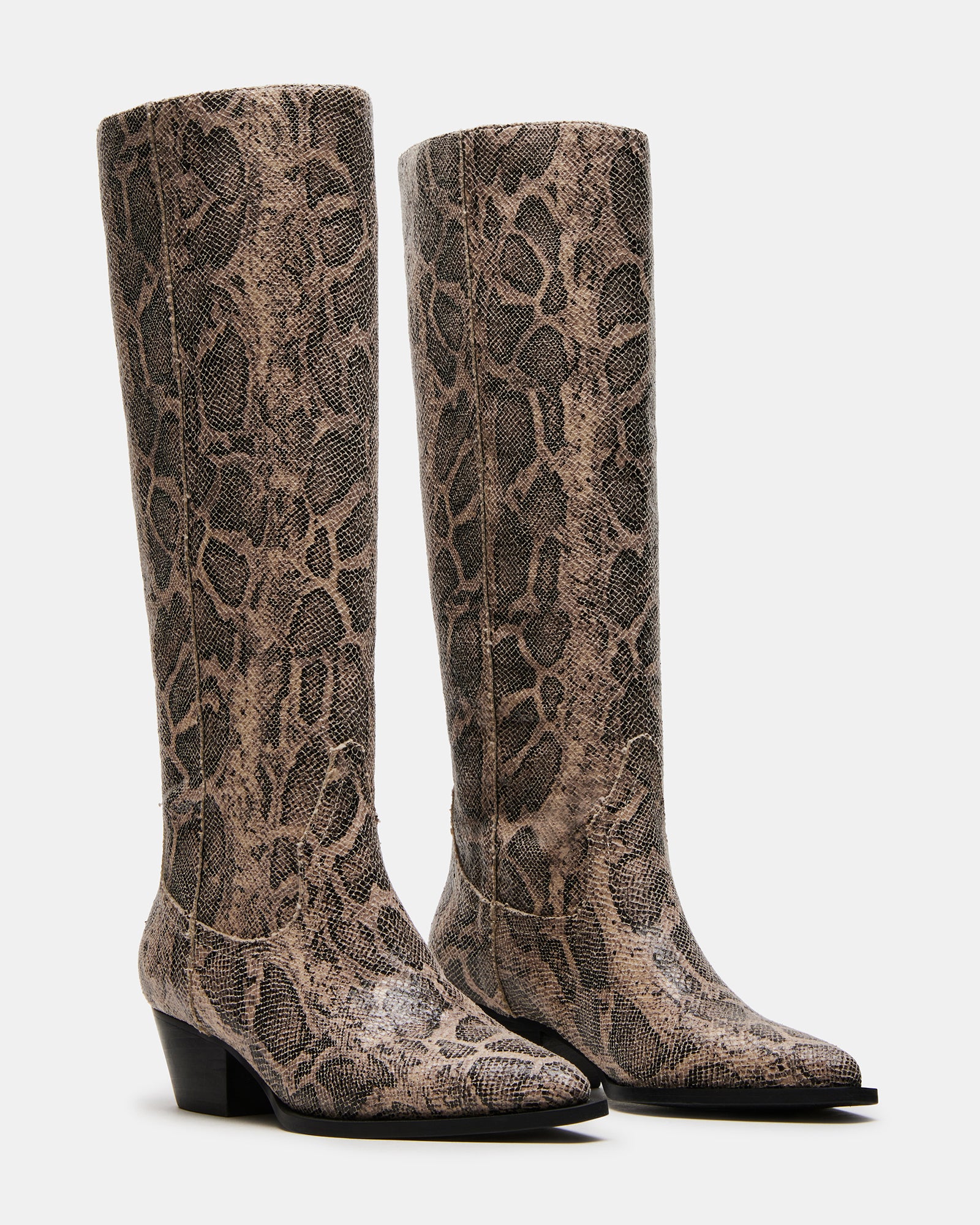 RATTLE SNAKE - Image 2