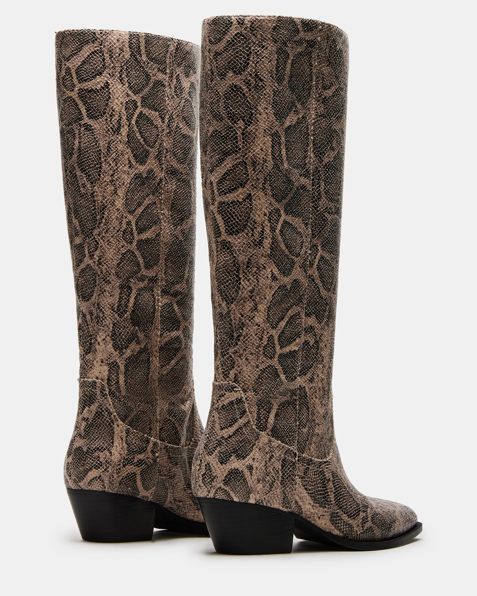 RATTLE SNAKE - Image 5